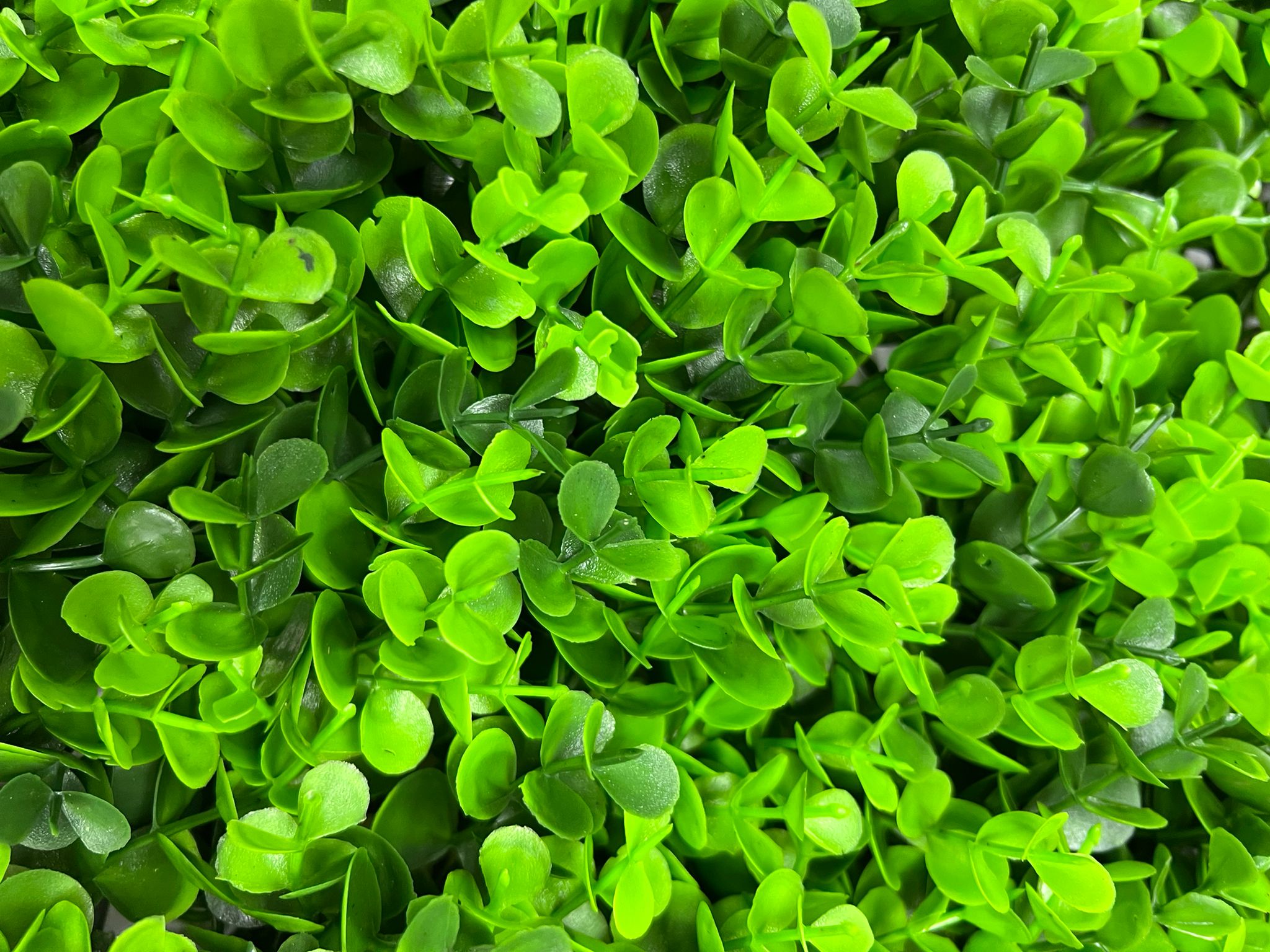 Artificial Grass Panel Faux Eucalyptus 60cm x 40cm Plant Wall Vertical Garden Floors Homes Offices Events Aplant833