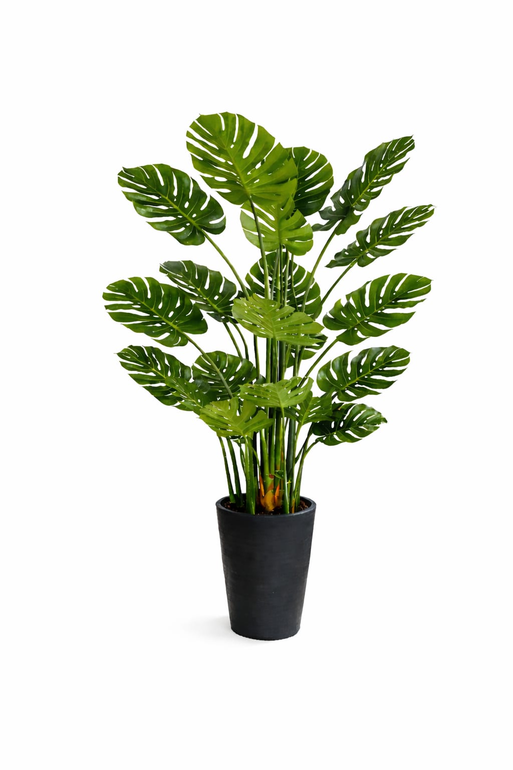 170cm Artificial Monstera Plant set in a Planter Pot Aplant1242-2 - Alton Flowers