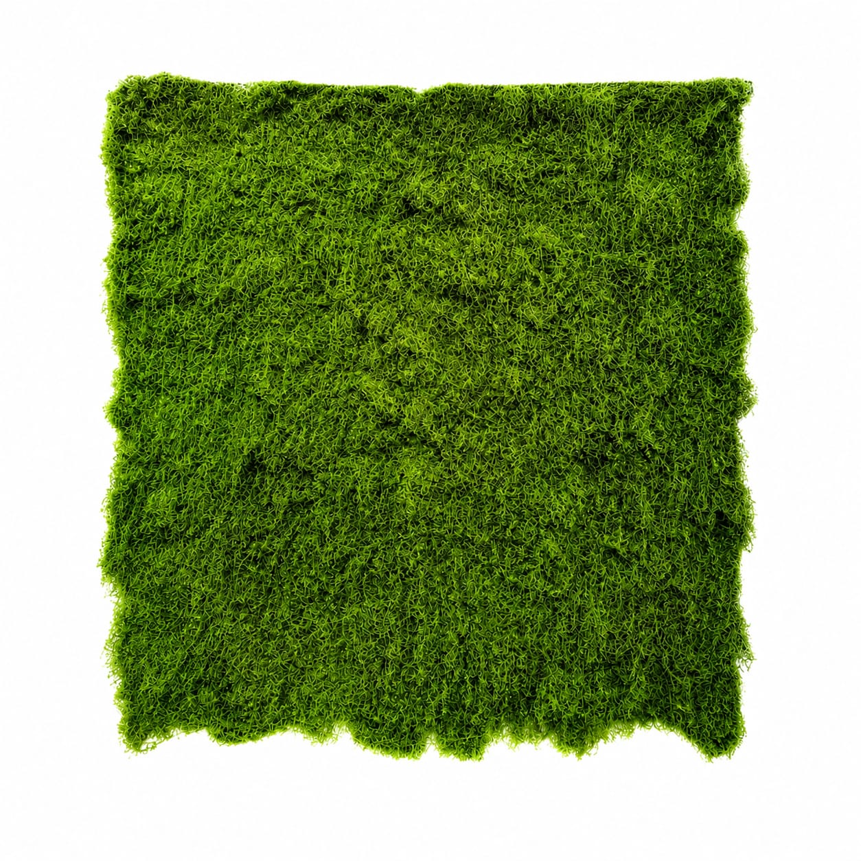 Artificial Moss Carpet 1M by 1M Artificial Lawn Fake Grass Artificial Green Plant Decoration Photo Props