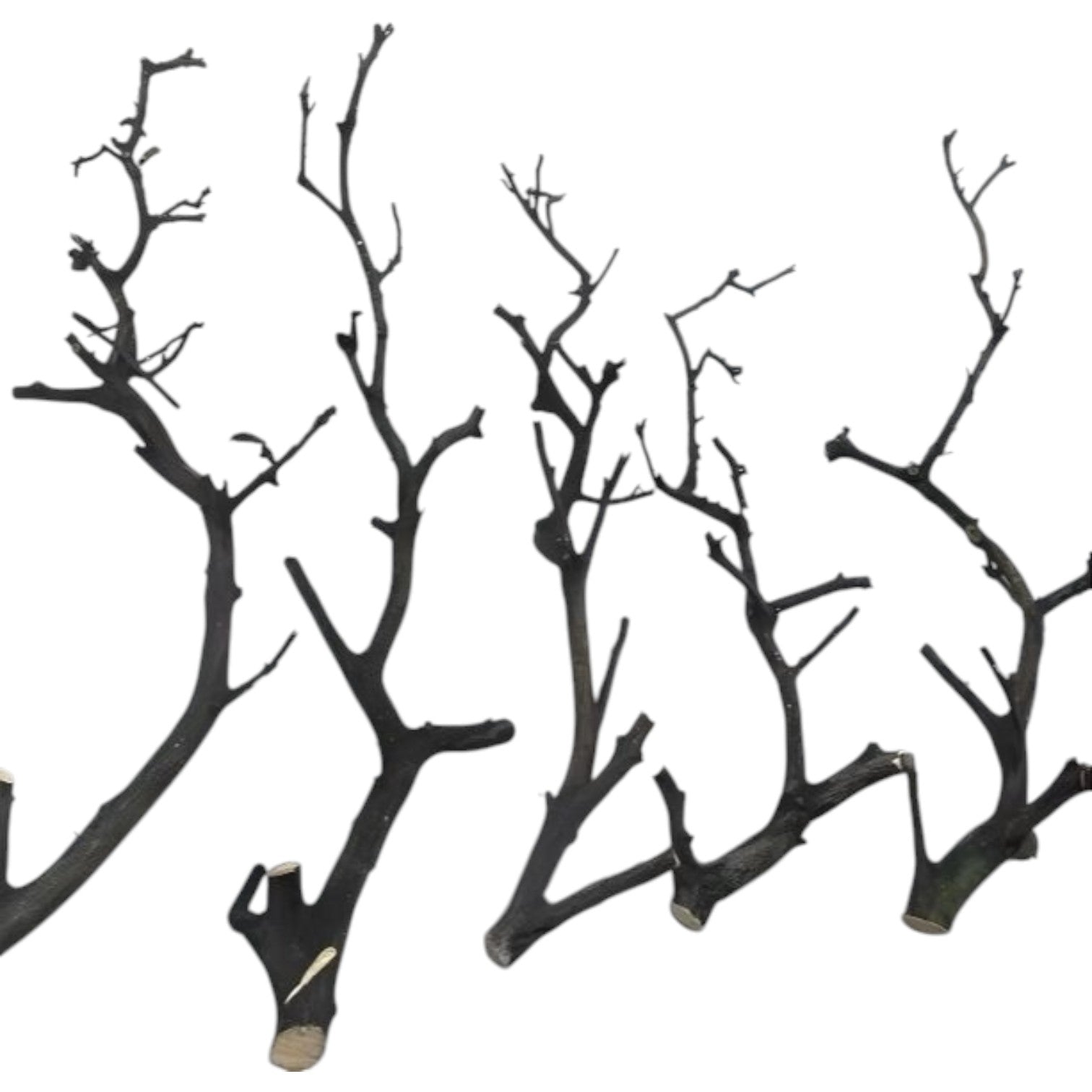 Natural Wood Branch Aesthetic Forked Keel  for Home Vase Decor