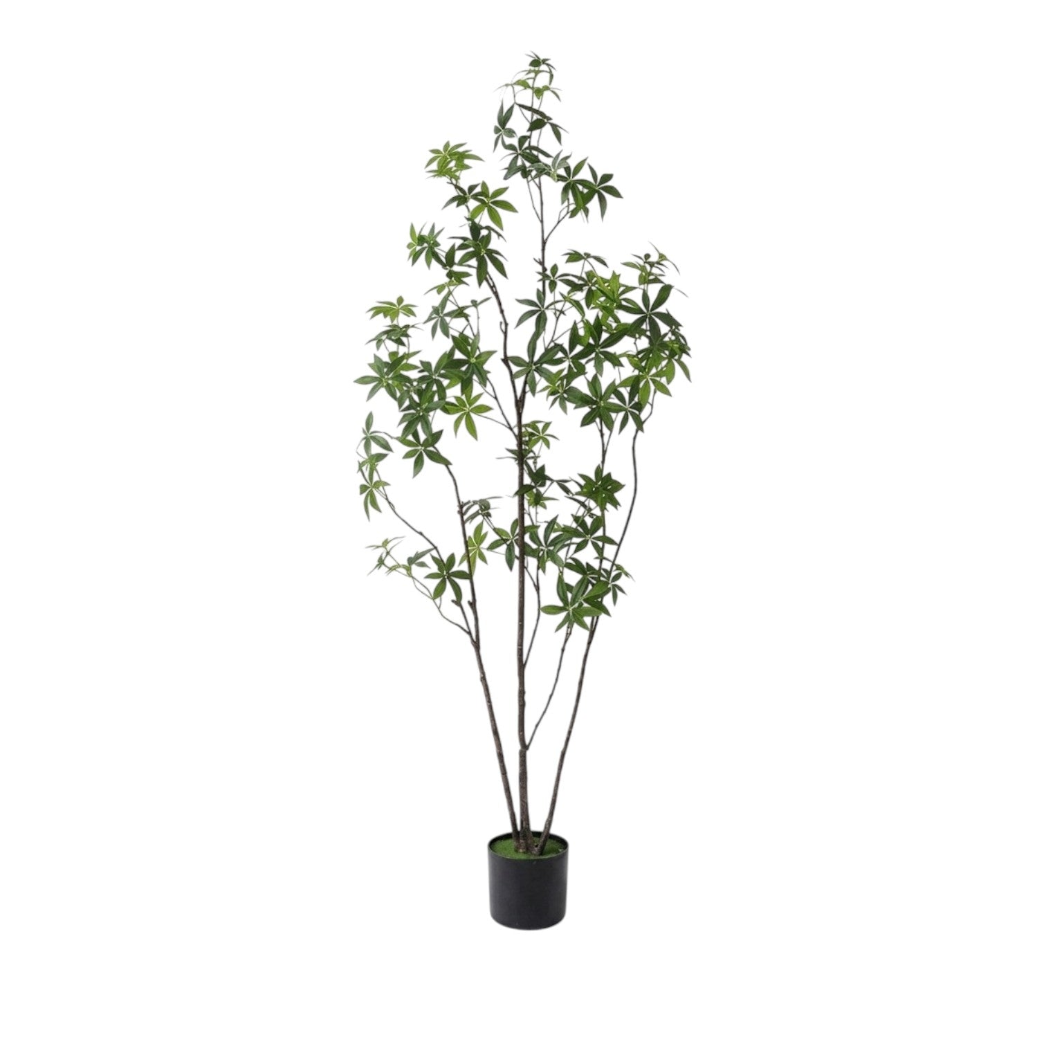 160cm Artificial Money Tree (Pachira Aquatica) | Artificial Plant | Faux Plant
