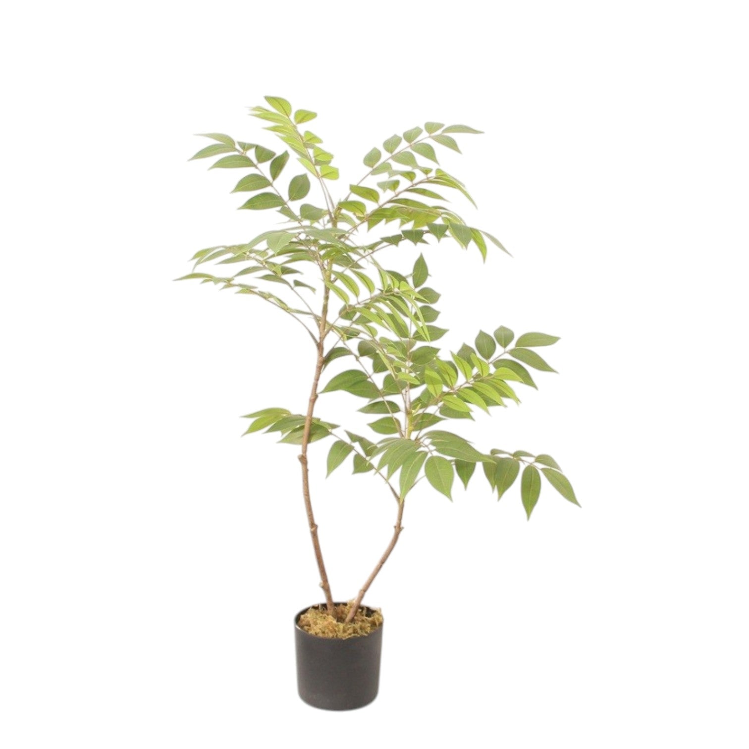 85cm Artificial Wisteria Foilage Bush Tree in Black Pot