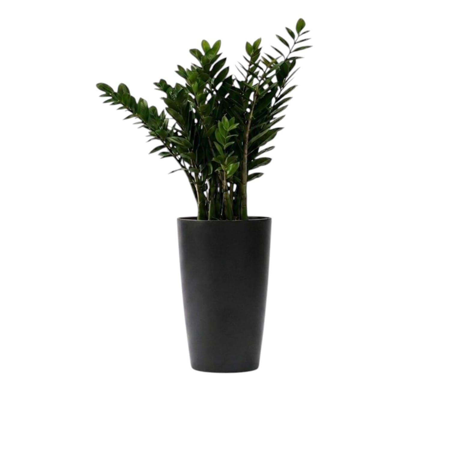 41cm Modern Self-Watering Tall Planter Pot – Decorative Flower Pot