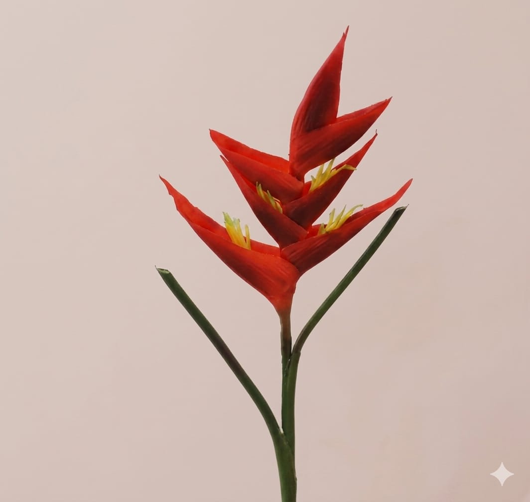 Flower Ginger Artificial Rubber Afaux502
