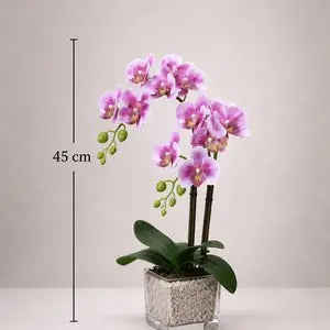 Artificial orchid arrangement in a cubic glass vase, home decor or event floral display by Alton Flowers.