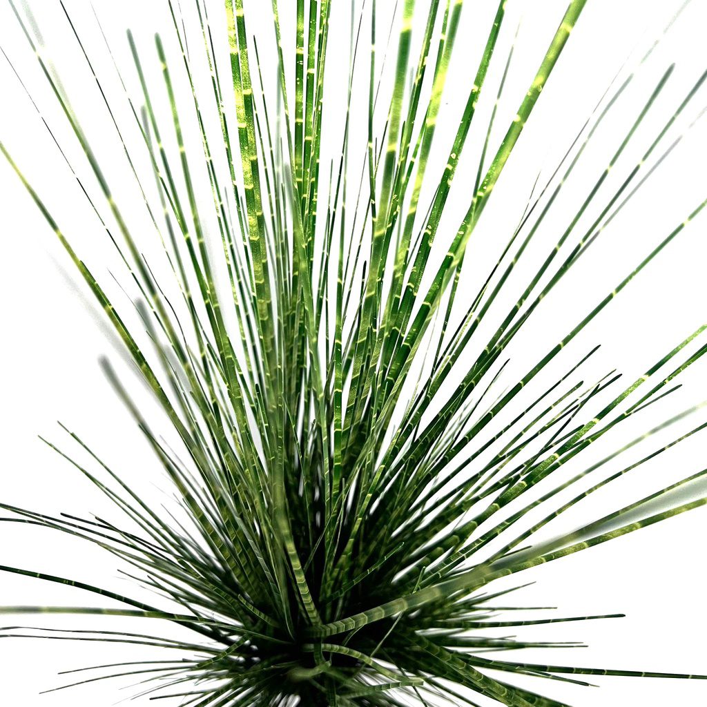 babd5588f794171b1866b7cefd63befd