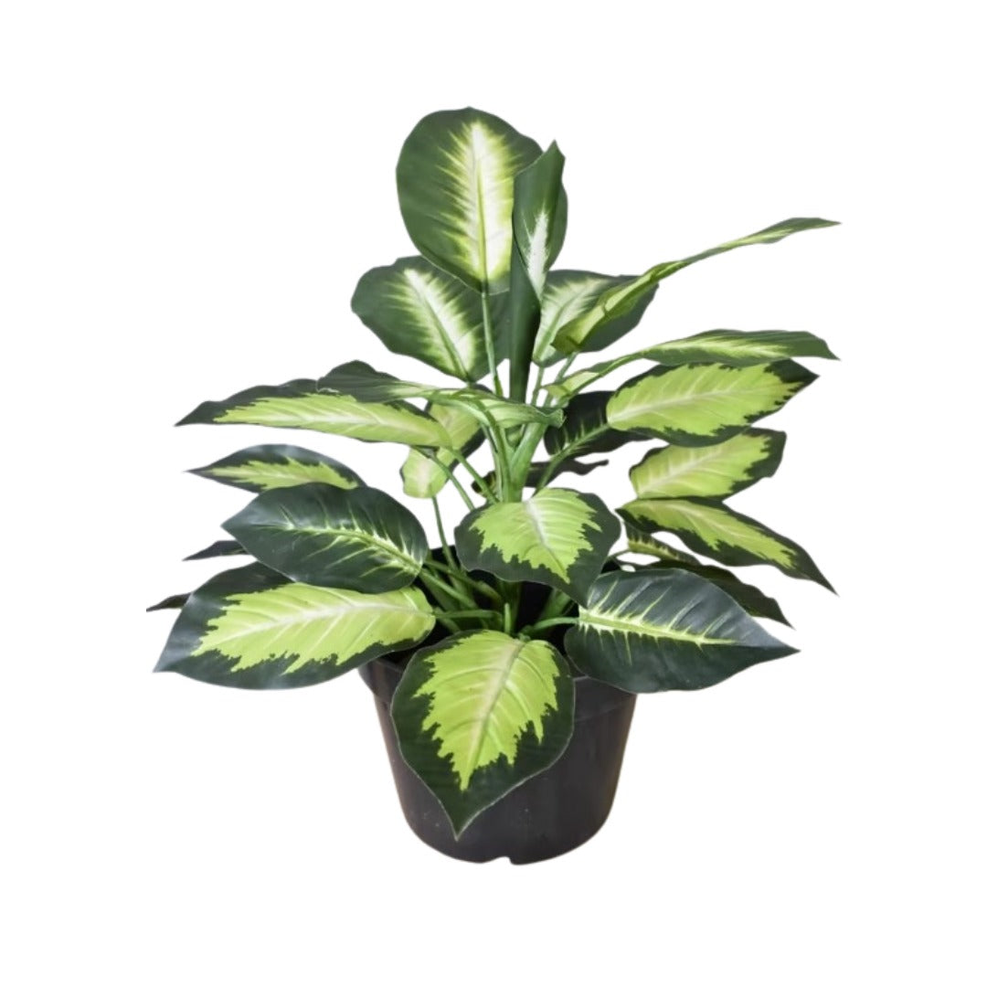 40cm Real Touch Potted Artificial White Heart Diffenbachia Plant – Faux Flower Plant for Home & Office Decor