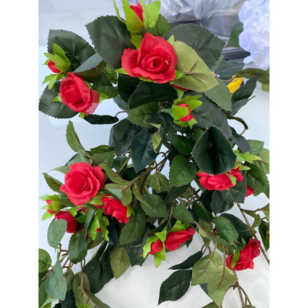 c084e9cce81d8a723cdefa56d5f40729 1