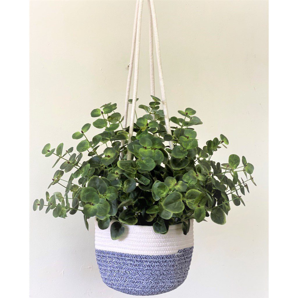 c8f217179cfd875d0361d398c343cbe1