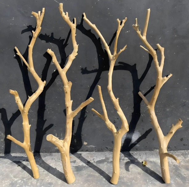 Natural Wood Branch Aesthetic Forked Keel  for Home Vase Decor