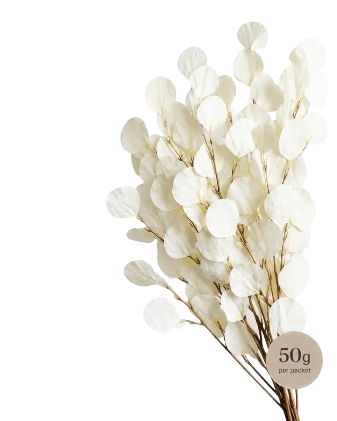 Dried White Apple Leaves, dry flowers, home decor, events