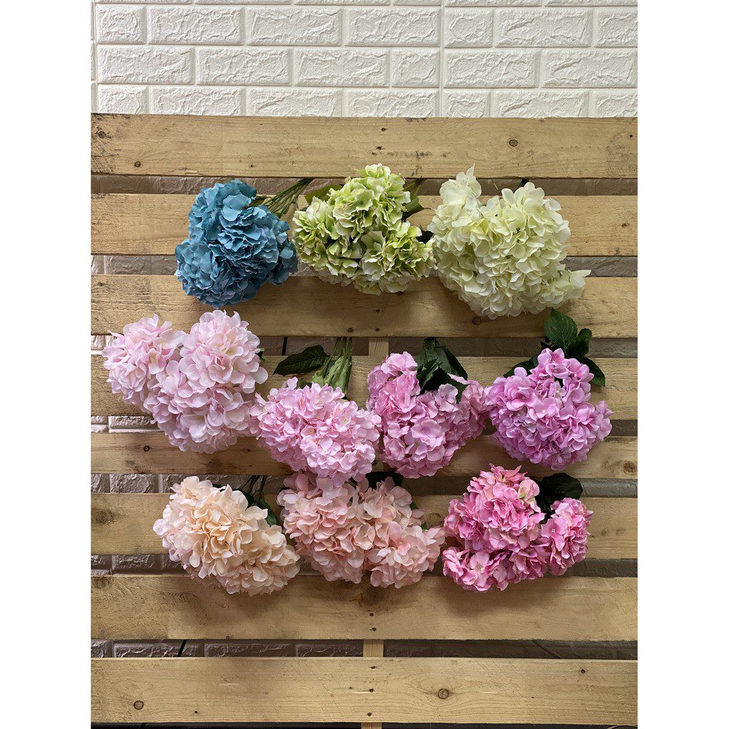 ecf52a877a7077a940f1033fb10eb832