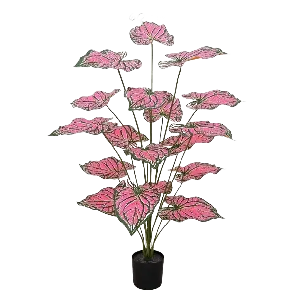 95cm Artificial Caladium Plant – Pink & Green Leaves, 95cm  Aplant1254