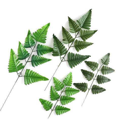 sg 11134201 22090 koau0vvuy3hv8d 1