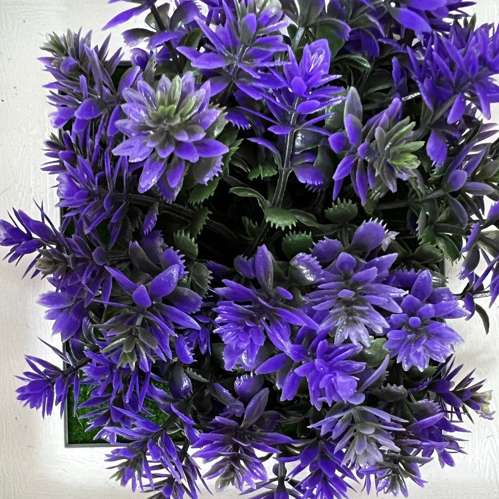 sg 11134201 22100 kgcif4ziysiv38