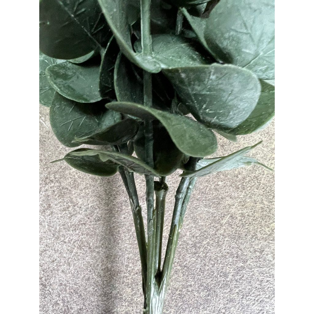 sg 11134201 22110 8imayuoidljvbb