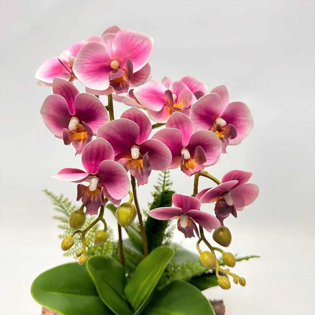 sg 11134207 23030 akt8x333q6nv04