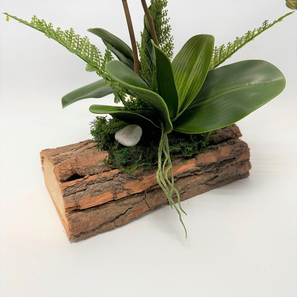 sg 11134207 23030 c5fmcpy3q6nvea