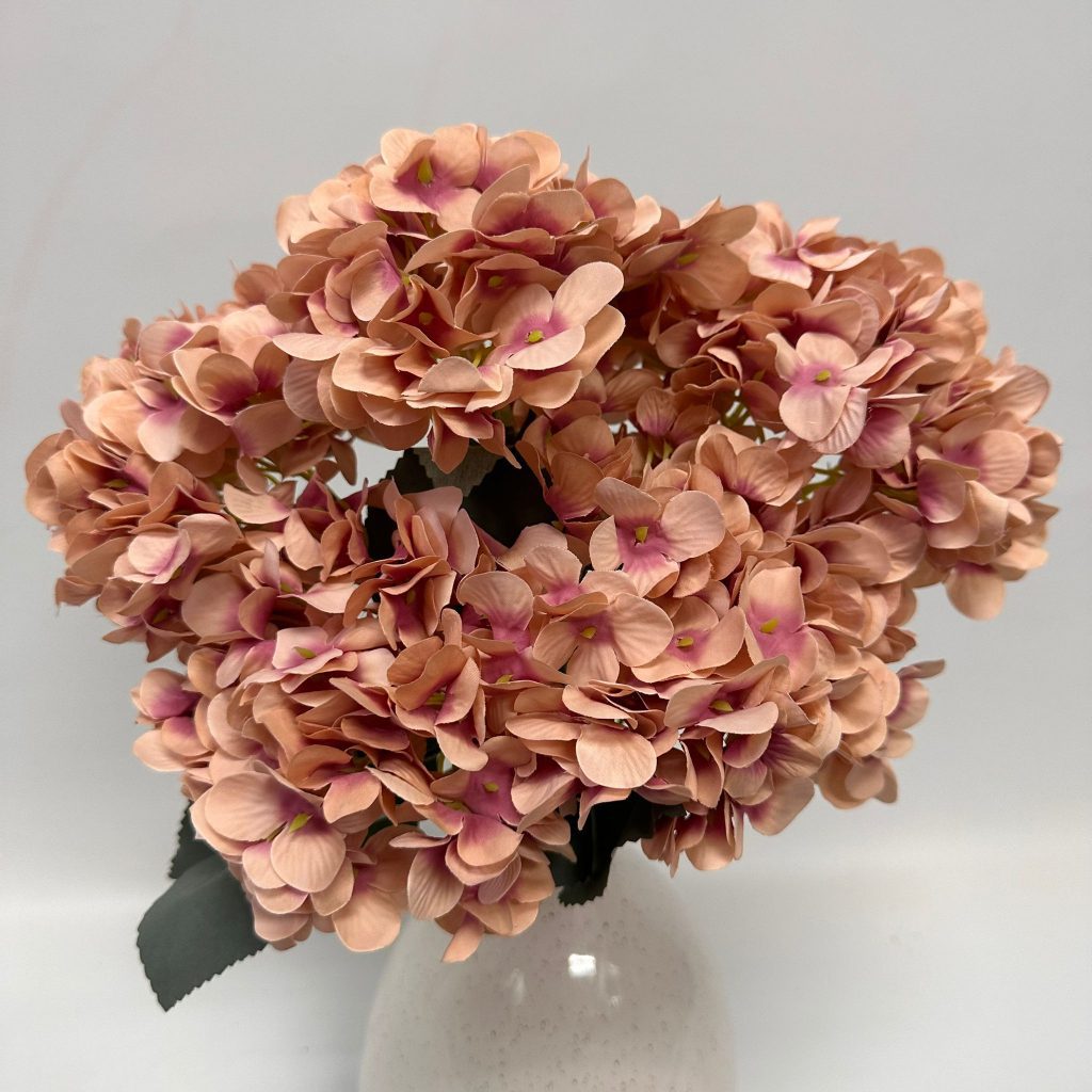 Hydrangea Bush x 5 flowers head per bush Afaux103