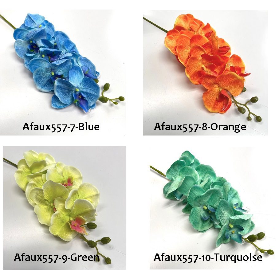 sg 11134207 7qve7 lifvwinze87h19