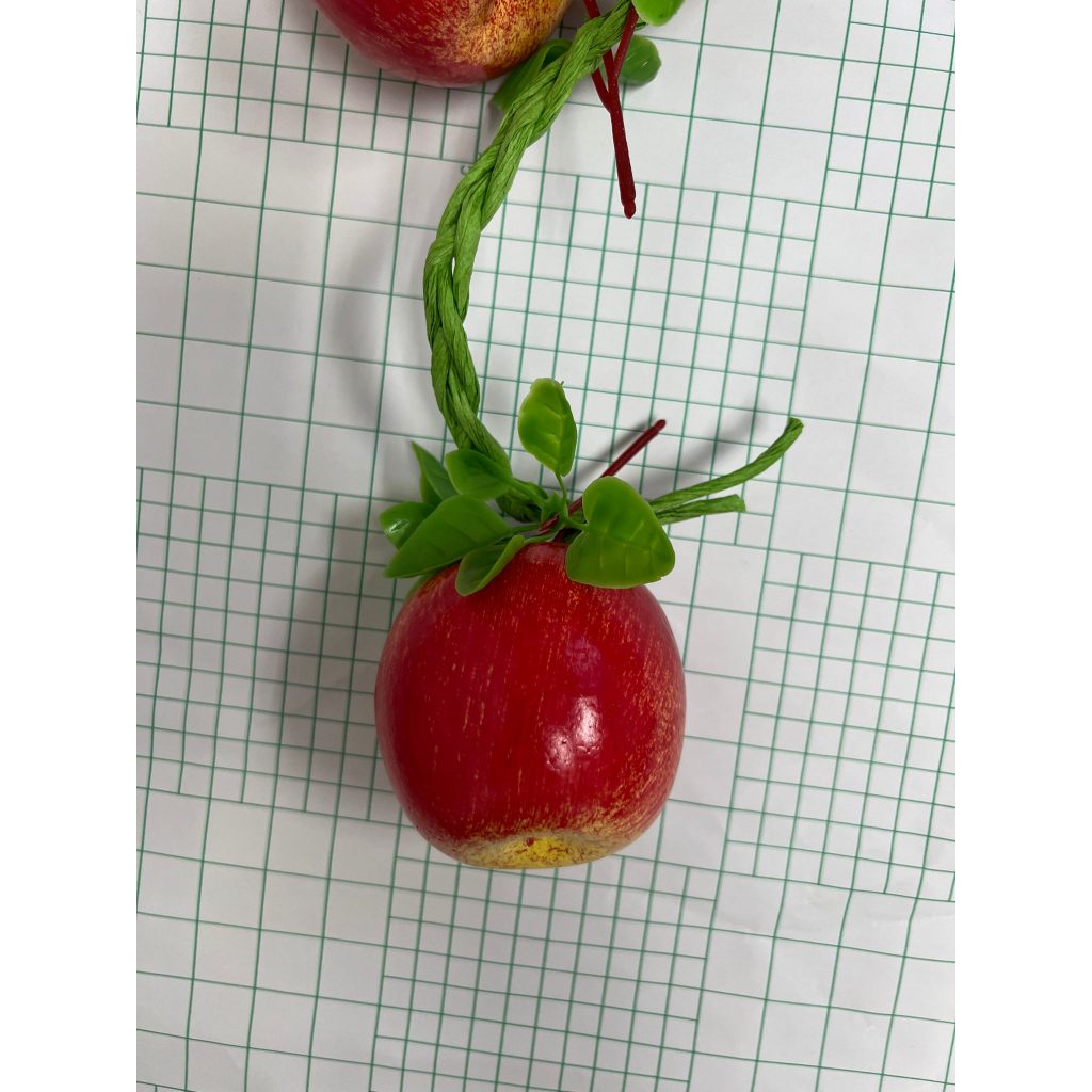 Flower Artificial Vegetables & Fruits decor, Aacc207-L