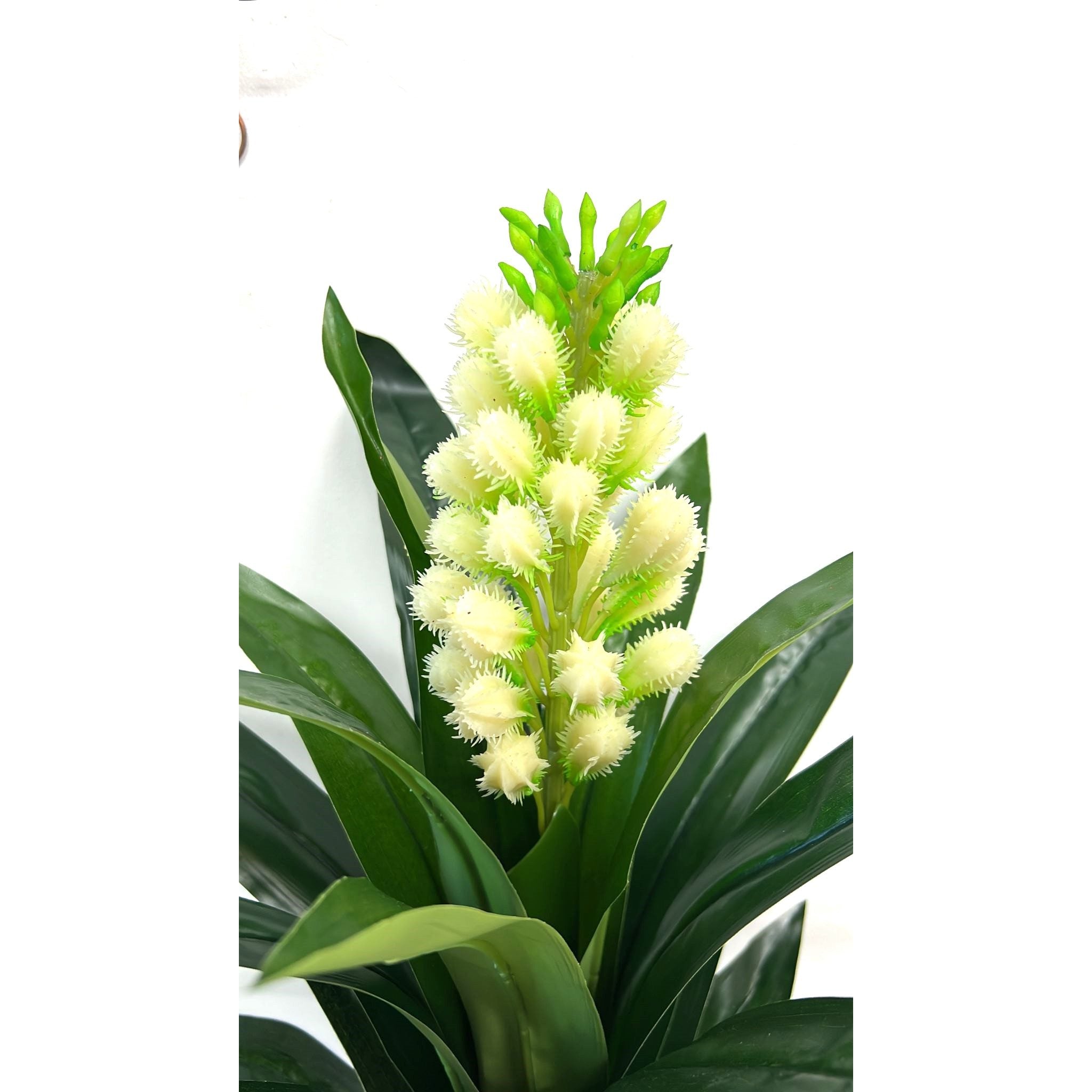 sg 11134207 7qvf4 lh79b0vvjiun18