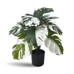 50cm Variegated Monstera Artificial Aplant617