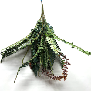 Plant artificial Conifer Ferns, home decor, garden, events Afoil0125